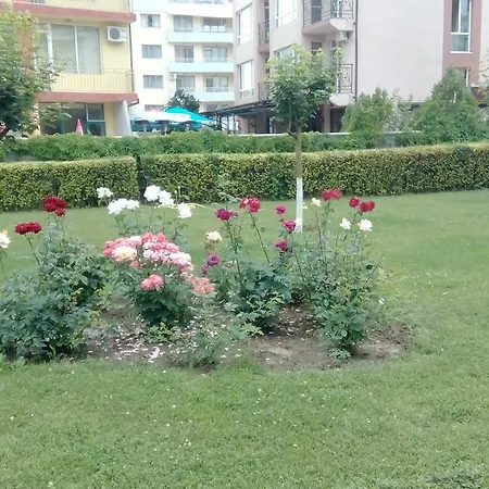 Apartman Bravo 5 Sunny *