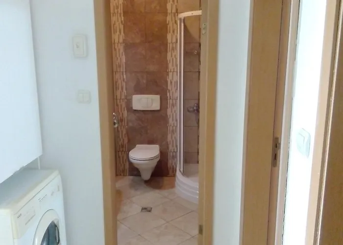 Bravo 5 Sunny Daire *